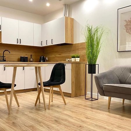 Nowoczesny Apartament W Dzierzoniowie - Parter - Balkon - Pokoj + Sypialnia Buitenkant foto