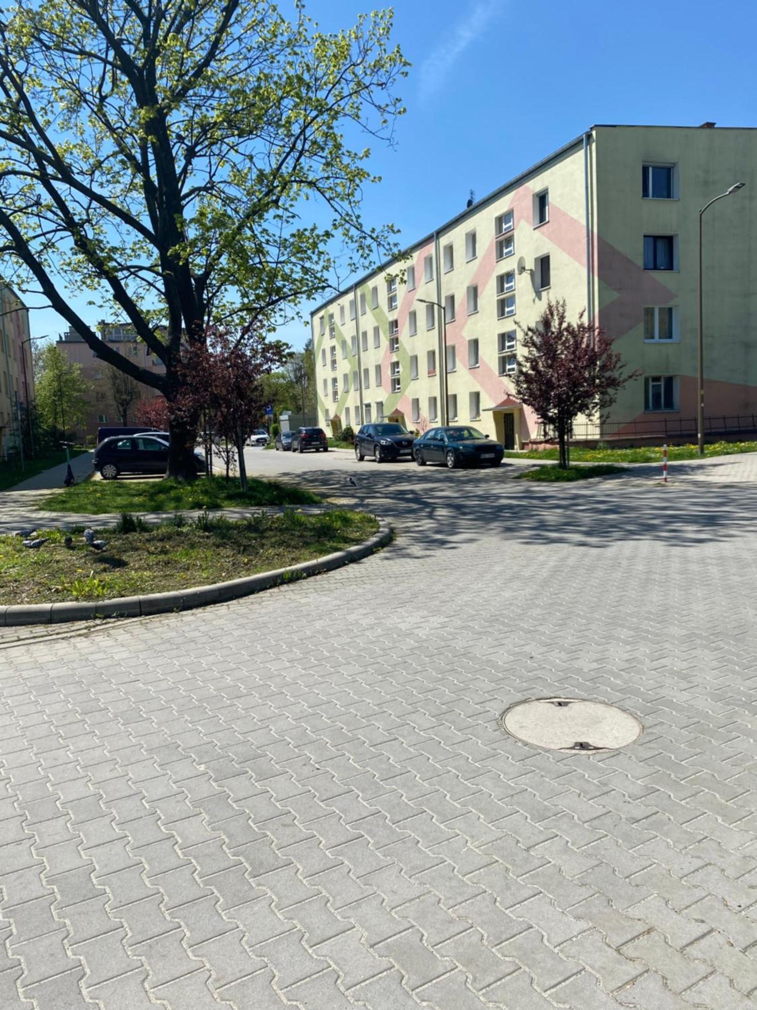 Nowoczesny Apartament W Dzierzoniowie - Parter - Balkon - Pokoj + Sypialnia Buitenkant foto